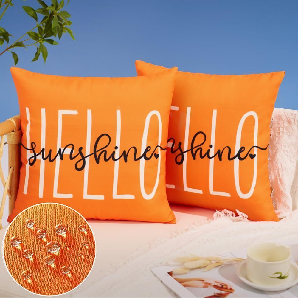 5110 Outdoor Pillow Covers 18x18 Inch Set of 2 Hello Sunshine Decor Orange